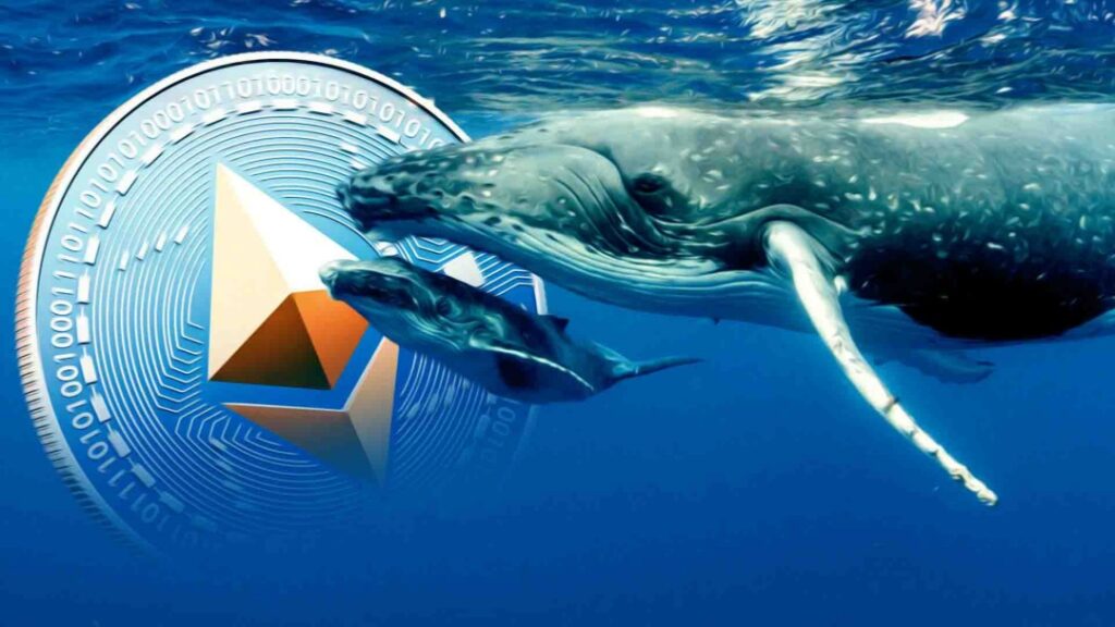 Ethereum whale accumulation ultima markets
